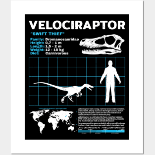 Velociraptor fact sheet Posters and Art